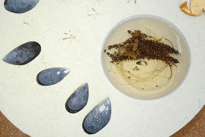 A close up view of a flat stone sculpture with mussel shells and mandarin peel. A circular impression in the stone holds liquid, seeds and a tiny slip of paua shell