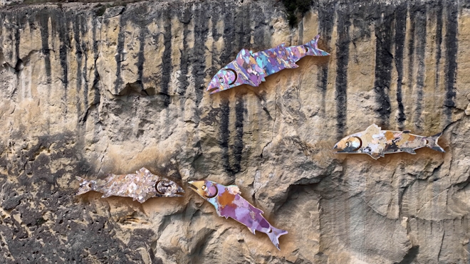 Colourful, digitally animated fish appear overlaid onto a rocky limestone wall