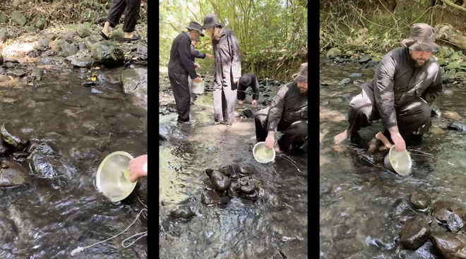 A group of performers interacting with the Pigeon Bay stream on Horomaka Banks Peninsula at Hays Reserve, producing experimental noise