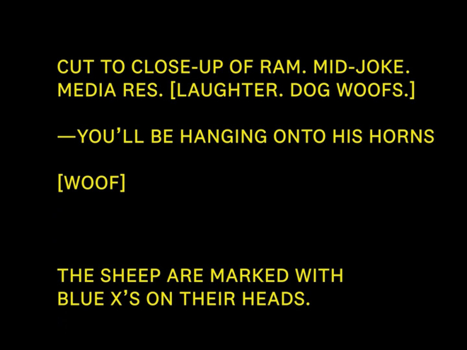 All capitals yellow text on a black background. The text reads: CUT TO CLOSE-UP OF RAM. MID-JOKE. MEDIA RES. [LAUGHTER. DOG WOOFS]. - YOU'LL BE HANGING ONTO HIS HORNS. [WOOF]. THE SHEEP ARE MARKED WITH BLUE X'S ON THEIR HEADS.
