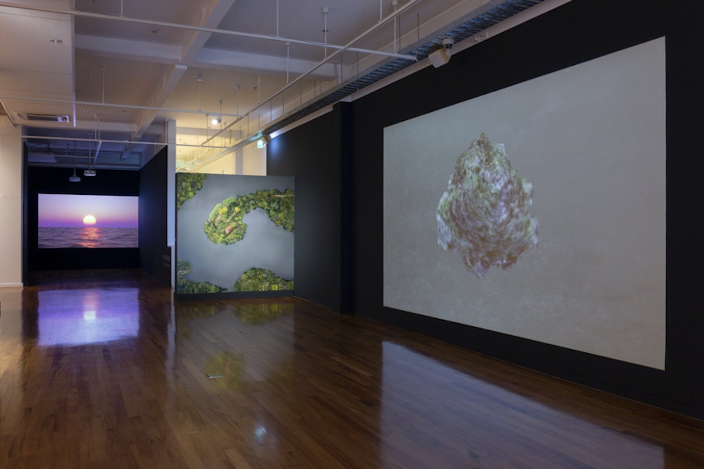 A gallery with several large scale projections of natural forms with subtle transformations in their natural form, including a setting sun in purple, an island and a ball of organic matter ,