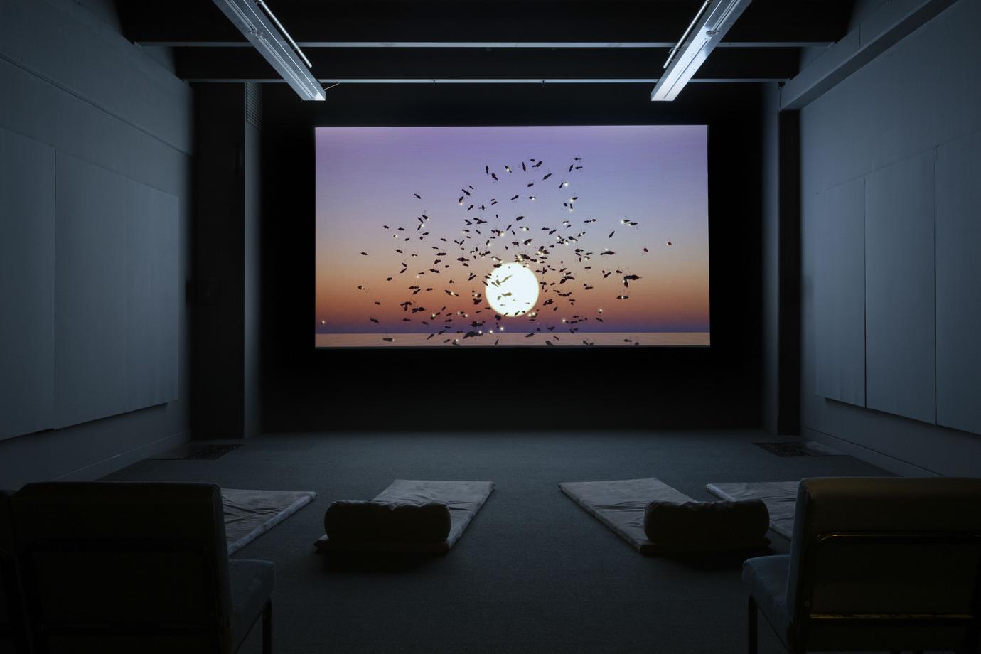 Sriwhana Spong, And the creeper keeps on reaching for the flame tree (2022). Installation view, Legacies, Te Pātaka Toi Adam Art Gallery, Te Whanganui-a-Tara Wellington, 2023. Photo by Ted Whitaker.