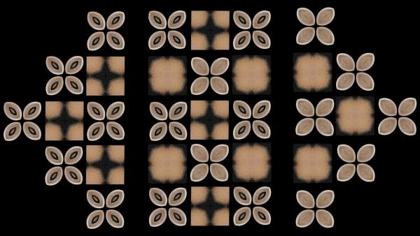 A video still from a work by Darcell Apelu showing a decorative pattern decorative pattern inspired by nature found in the South Pacific A video still from a work by Darcell Apelu showing a decorative pattern decorative pattern inspired by nature found in the South Pacific