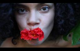 A person with curly black hair holds a red hibiscus flower in their mouth. Their gaze is directed at the camera. 